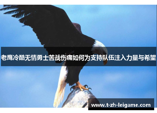 老鹰冷酷无情勇士苦战伤痛如何为支持队伍注入力量与希望