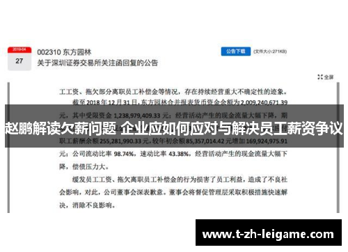 赵鹏解读欠薪问题 企业应如何应对与解决员工薪资争议