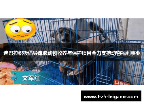 迪巴拉积极倡导流浪动物收养与保护项目全力支持动物福利事业