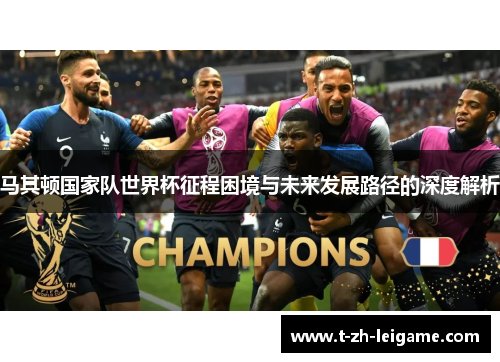 马其顿国家队世界杯征程困境与未来发展路径的深度解析