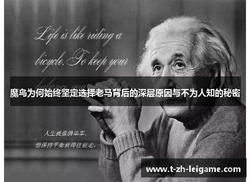 魔鸟为何始终坚定选择老马背后的深层原因与不为人知的秘密